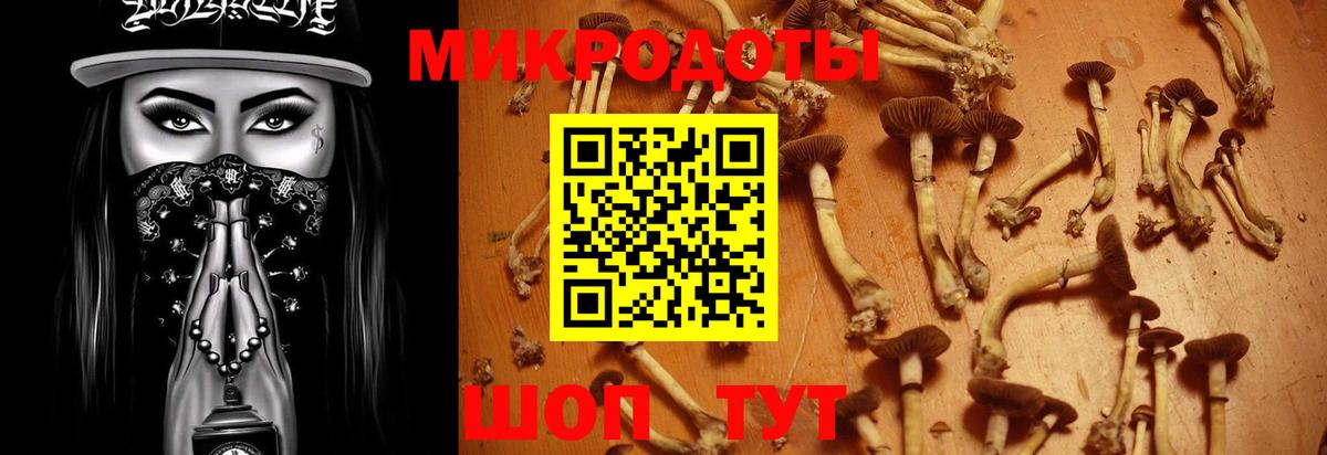 Псилоцибиновые грибы прущие грибы  Псилоцибиновые грибы Cubensis  Кохма  Вход с VPN 